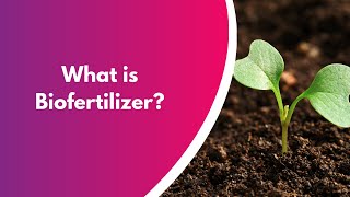 What is biofertilizers Get the actual concept of biofertilizers [upl. by Itsur]