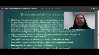 Estructuras anatómicas del sistema nervioso cardiovascular y nervioso [upl. by Deegan]