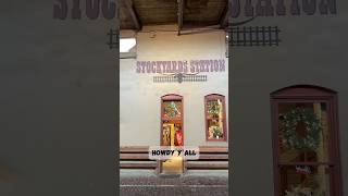 Historic Fort Worth Stockyards Western Fun in Texas fyp shorts short texas fortworth [upl. by Faline361]