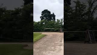 Trentham Gardens stokeontrent daysoutwithkids  therealstokie uk yiutubeshort [upl. by Danna]