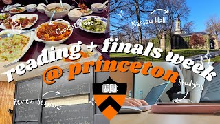 Princeton University Reading Week  Finals Week Study Vlog  college freshman fall semester [upl. by Nyraf489]