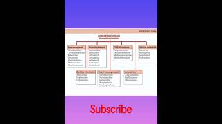 Classification  Adrenergic drugs  Pharmacology [upl. by Aissatan]