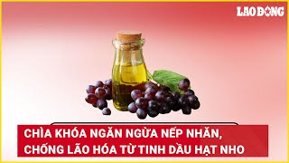 Chìa khóa ngăn ngừa nếp nhăn chống lão hóa từ tinh dầu hạt nho  Báo Lao Động [upl. by Christiana]