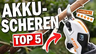 TOP 5 AKKUASTSCHEREN 2025 🔥  Die besten AkkuAstscheren für mühelose Gartenarbeit [upl. by Nanci]