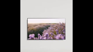 LG LQ57 Smart TV 32 Inch Paling Canggih  LG [upl. by Llireva]