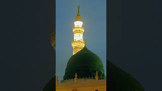 🤍✨  rozaerasoolﷺ masjidenabwiﷺ ytshorts ytshortsviral youtube maharasadraufnoul [upl. by Longawa]