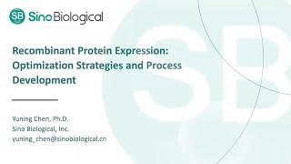 Recombinant Protein Expression Optimization Strategies and Process Development [upl. by Dellora]