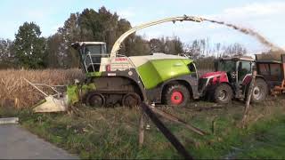 Maïs 2023  Claas Jaguar 960 Terra Trac  5x Massey Ferguson  4x Dezeure  muddy field  Verreth [upl. by Anirtak568]