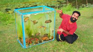 Beautiful Aquarium Made From Nature  തോട്ടിലെ സാദനങ്ങൾ ഉപയോഗിച്ച് ഉണ്ടാക്കിയ അക്വാറിയം  M4 Tech [upl. by Yanaton]