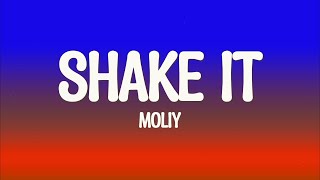 MOLIY  Shake it Lyrics [upl. by Seline]