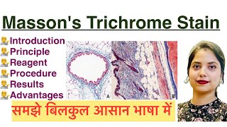 Mason’s Trichrome Stain in Hindi  Histology stain  MLT [upl. by Wolfy]