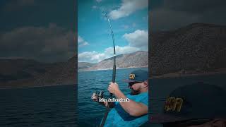 Big Ambergack  SHORE JIGGING fishing highlights viralvideo amberjack shorejigging angler [upl. by Miarfe]