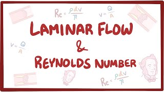 Laminar flow turbulence and Reynolds number [upl. by Goodspeed]