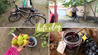 🍇🍁🧡 Őszi szüret  szőlőlekvár recept  lett egy bringám  HETI VLOG [upl. by Vardon374]