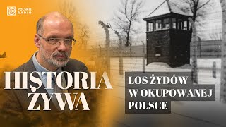 AuschwitzBirkenau Los Żydów w okupowanej Polsce  HISTORIA ŻYWA [upl. by Avan]