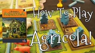 A Dicey quotWalkthrough Reviewquot of Agricola Revised Edition [upl. by Sarson]