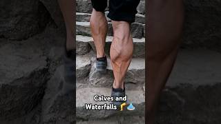 Calves and Waterfalls [upl. by Lynelle]