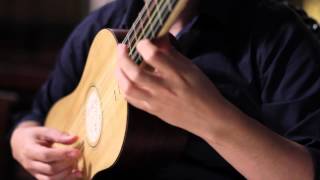 Canarios  Gaspar Sanz  Baroque Guitar [upl. by Etolas]