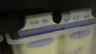 How to Freeze amp Store Breast Milk [upl. by Lange]