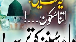 Bigdi Har Baat Banayenge Madine Wale New Naat Sarif 2024 [upl. by Aicatsan966]