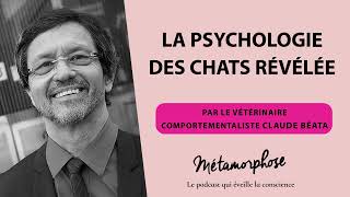 La psychologie des chats révélée par le vétérinaire comportementaliste Claude Béata 510 [upl. by Veronika504]