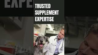 Unveiling the Best Dog Probiotic Supplement A Comprehensive Dog Probiotics Review dogjointhealth [upl. by Macegan164]