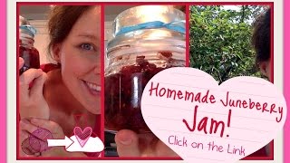 Homemade Juneberry Jam an Odd Lost Tree and a Cool Thing With a Mason Jar [upl. by Inoliel673]