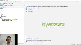 Como usar o DbVisualizer Querys [upl. by Cyler593]