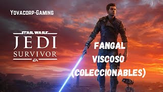 Star Wars Jedi Survivor  Fangal Viscoso Todos los Coleccionables Ubicacion [upl. by Katinka]