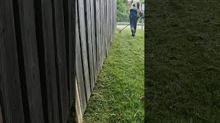 Quick Satisfying fenceline grass trim 👌 [upl. by Helbon]