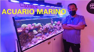 EL DENTISTA ALEJANDRO CON SU HERMOSO ACUARIO MARINO DE EQUIPOS Y MATERIALES ECONOMICOS [upl. by Haraf]