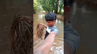 Hamare Khet Ke Pass Jhil 😇❤mini vlogs cg13crazyvlogs vinodrathia [upl. by Merrell]