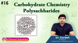 16 Carbohydrate Chemistry  POLYSACHHARIDES [upl. by Drawyeh329]