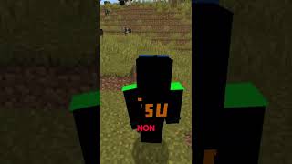 Non Stackable Items shorts ytshorts minecraft [upl. by Polivy507]