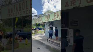 Waiahole Poi Factory serving traditional Hawaiian food in Kaneohe on the island of Oahu [upl. by Island]