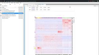 scRNAseq 2700 PBMC Clustergrammer2 [upl. by Eedolem121]