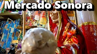 Mercado Sonora  Un lugar lleno de esoterismo brujería y tradición ft Comerciantes Mercado Sonora [upl. by Sandell]