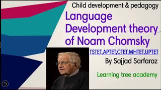 tstet psychology in urdu Noam chomsky language Development theory For TSTETAPTETCTET class13 [upl. by Anaic]