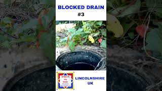 Blocked drain cleaning shorts [upl. by Dlareg]