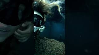 Exploring shipwrecks in Portugal freediving onebreath ocean diving [upl. by Hadrian]