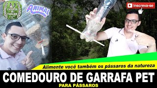 Faça Seu Comedouro de Garrafa Pet Para Pássaros [upl. by Jerrol]