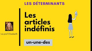 Les articles indéfinis en français Niveau A1 de FLE [upl. by Piegari]