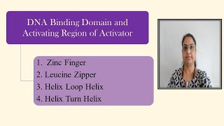 DNA Binding Domain Activating Region Zinc FingerLeucine ZipperHelix Loop HelixHelix Turn Helix [upl. by Alicec]