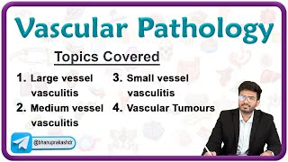 🩸🛤️ Vascular Pathology  Part 1   Vasculitis amp Atherosclerosis🔬 Pathology Chapter  4 [upl. by Moises]