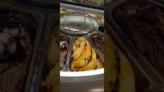 Gelato DisplayPregel Training Center Fort Lauderdale [upl. by Nylevol288]