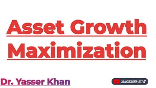 Asset Growth Maximization  Meaning Of Asset Growth Maximization  Asset Maximisation  Economics [upl. by Phillipe788]