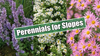 Gardening on Slopes Here Are 10 Perennials for Sun and Shade [upl. by Ingar18]