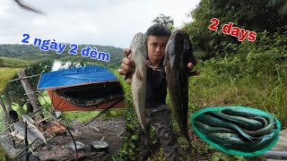 2 days solo camping survival fishing  rung47 vlogs [upl. by Eillah]