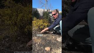 Planting On A Slope To Prevent Erosion [upl. by Aronle667]