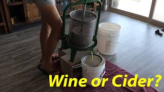 Simple Apple Wine Recipe  Make Apple Cider Wine at Home [upl. by Wes419]